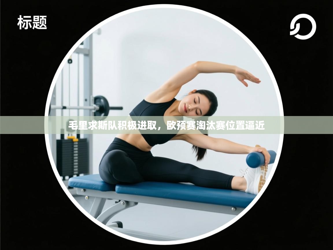 开云体育客服在线咨询-毛里求斯队积极进取,欧预赛淘汰赛位置逼近 第2张