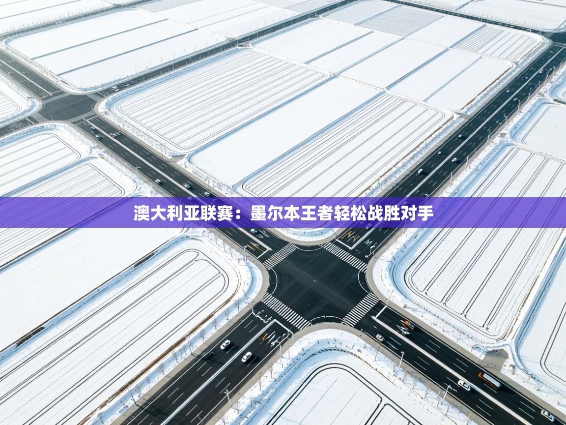 开云体育app下载安卓-澳大利亚联赛:墨尔本王者轻松战胜对手 第2张