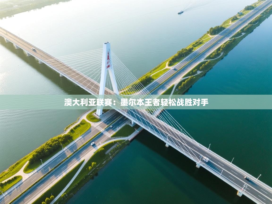 开云体育app下载安卓-澳大利亚联赛:墨尔本王者轻松战胜对手 第3张